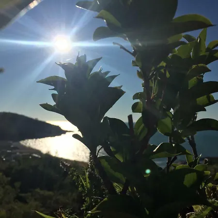 Apartment Il Gabbiano, Attico Con Terrazzo Vista Mare