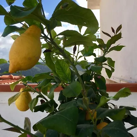 Il Gabbiano, Attico Con Terrazzo Vista Mare Apartment
